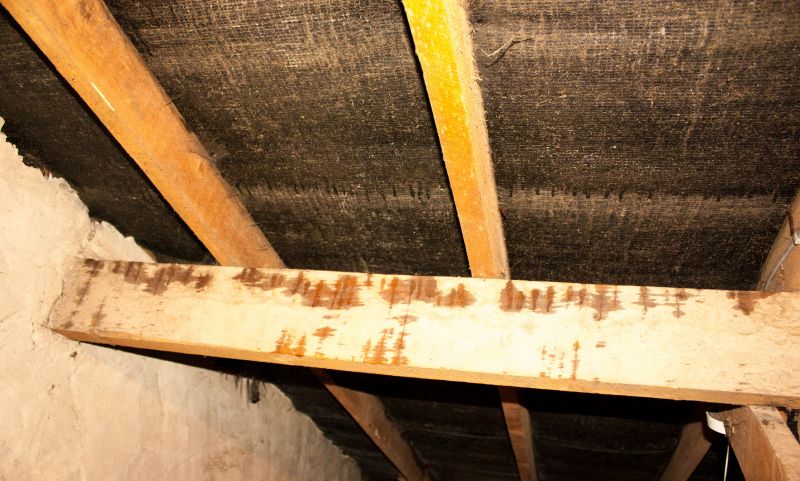 Attic Water Damage Repair in Charleston, SC